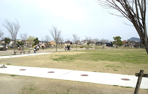 安心して遊べる広い公園